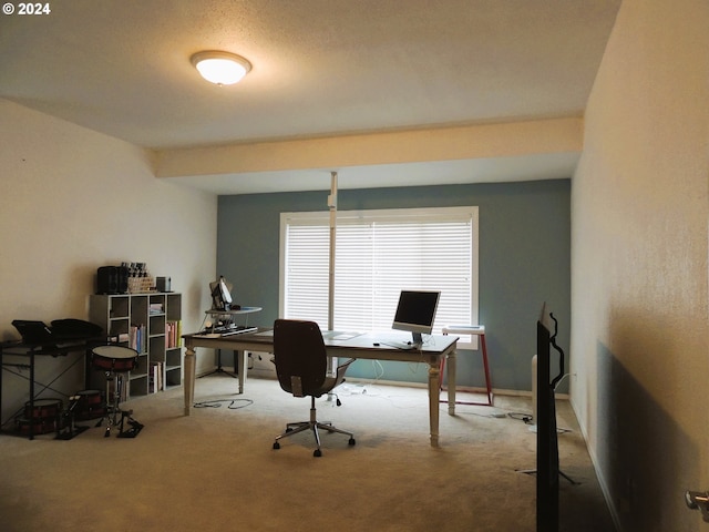 office space with carpet flooring