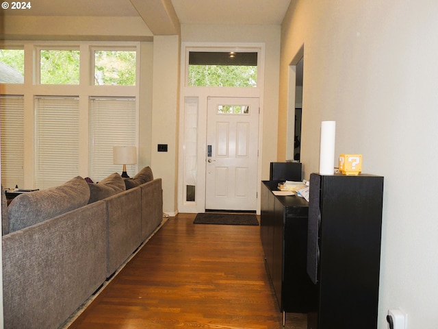 entrance foyer with dark wood-type flooring