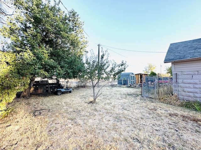 view of yard with a storage shed