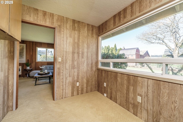 spare room featuring a textured ceiling, wooden walls, and carpet