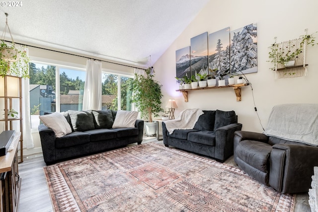 living room with lofted ceiling, hardwood / wood-style flooring, and a textured ceiling