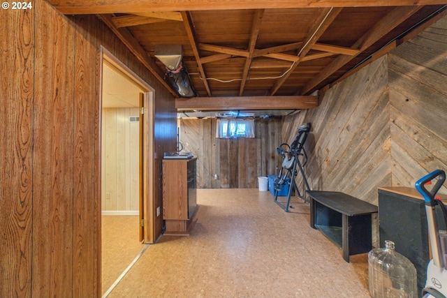 basement with wood walls