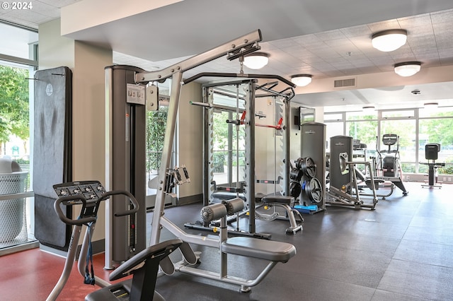 exercise room featuring expansive windows and plenty of natural light