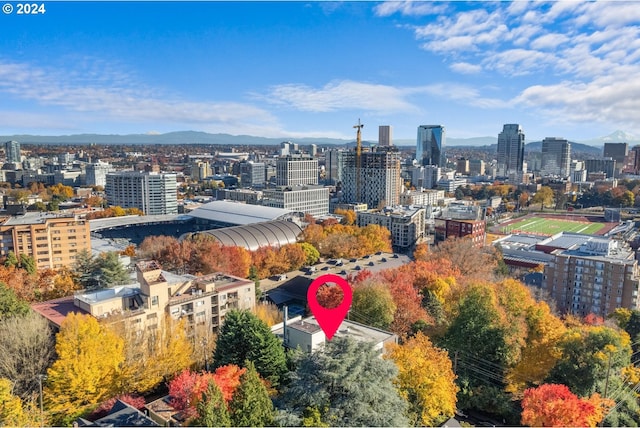 property's view of city