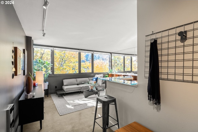 living room featuring light carpet, a wealth of natural light, and track lighting