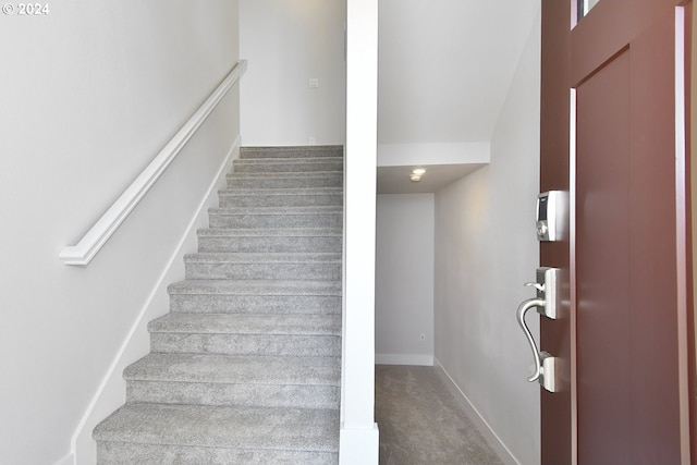 stairway with carpet flooring