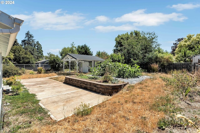 view of yard featuring a patio and a storage shed