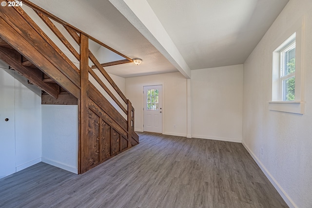 additional living space featuring wood-type flooring