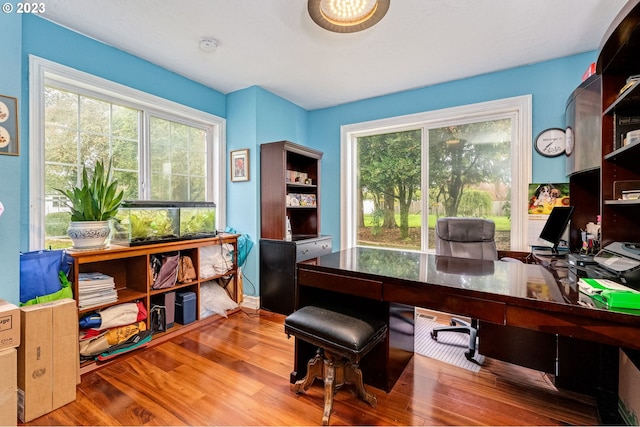 office space with hardwood / wood-style floors