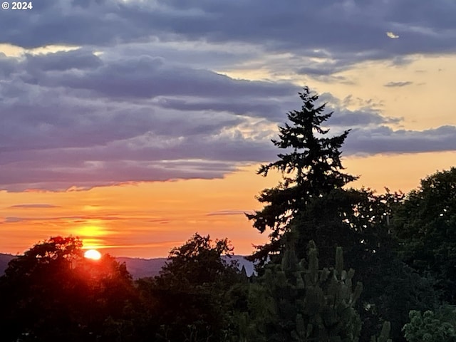 view of nature at dusk