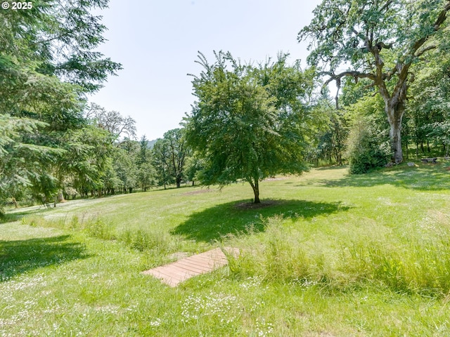 14355 NW Pheasant Hill Ln, Mcminnville, OR 97128 - view of yard featuring a view of trees
