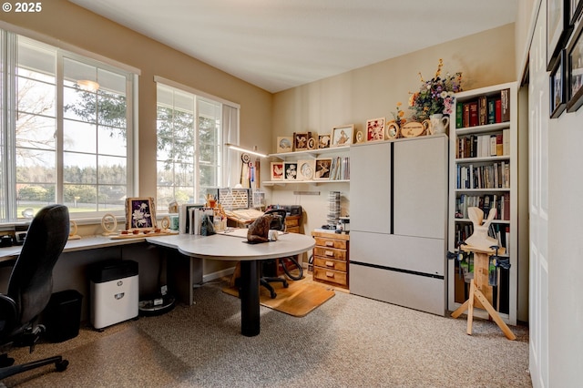 view of carpeted office