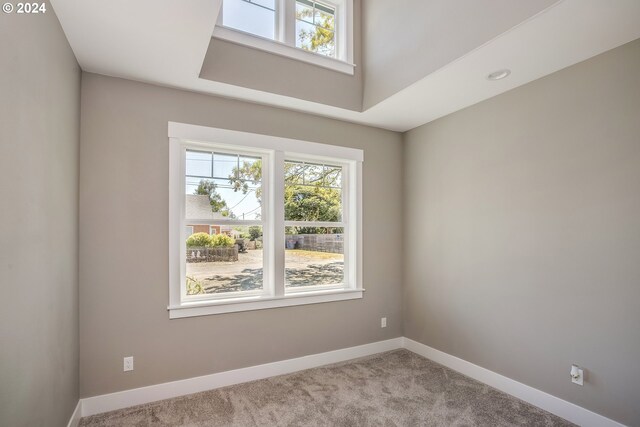 spare room featuring light colored carpet