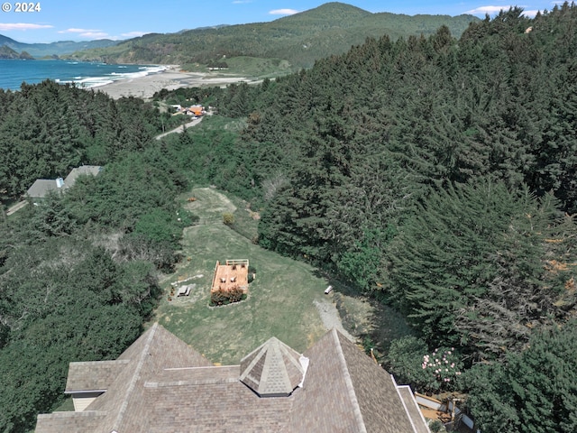 drone / aerial view featuring a water and mountain view