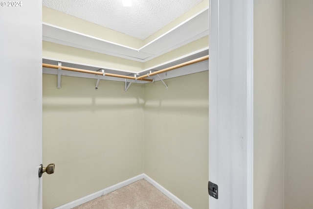 walk in closet with carpet