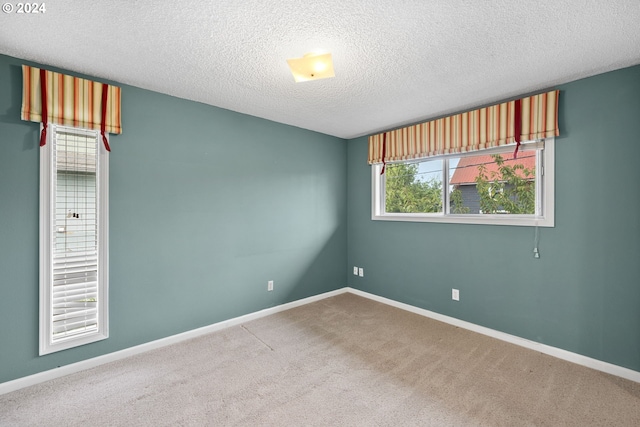 unfurnished room featuring a textured ceiling and carpet