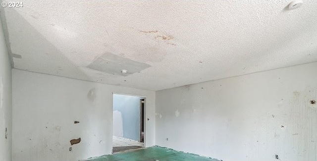 1730 SW 203rd Ave, Beaverton, OR 97003 - detailed view of a textured ceiling