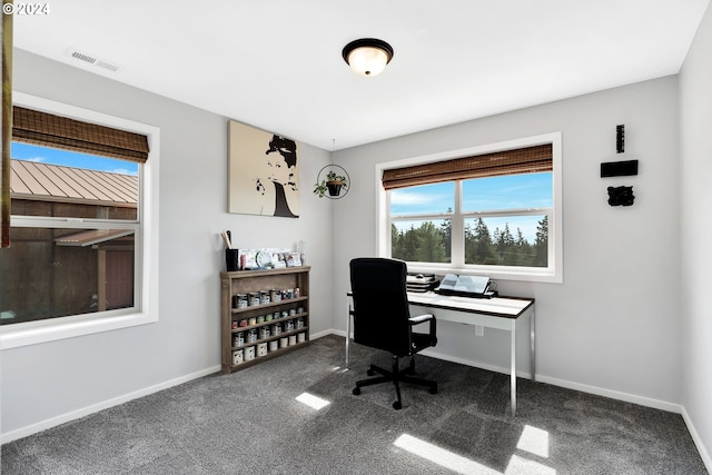 office featuring plenty of natural light and dark carpet