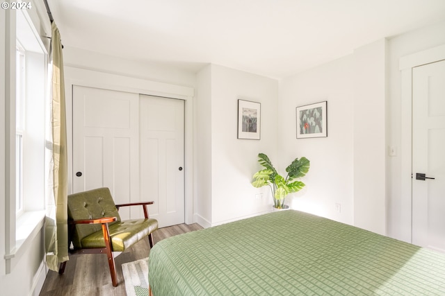 bedroom featuring a closet and hardwood / wood-style flooring