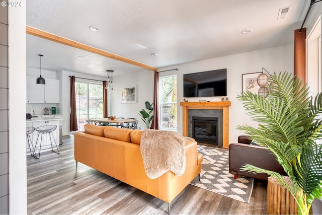 living room with hardwood / wood-style flooring