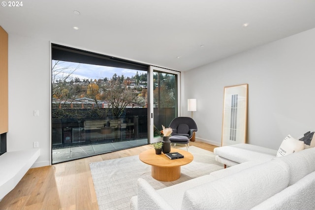 living room featuring light hardwood / wood-style floors