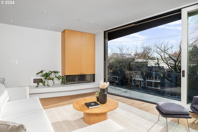 living room with floor to ceiling windows and light wood-type flooring