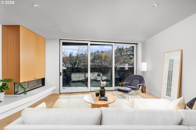 living room featuring expansive windows and light hardwood / wood-style floors