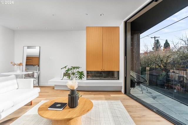 living room featuring light wood-type flooring