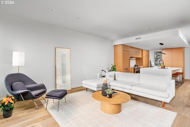 living room featuring light wood-type flooring