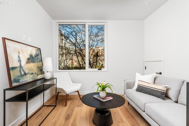 living room featuring hardwood / wood-style floors