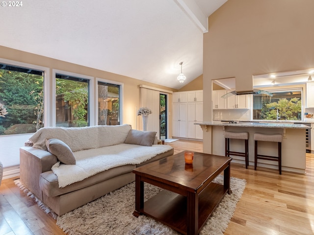 living room featuring light hardwood / wood-style flooring, high vaulted ceiling, and a healthy amount of sunlight