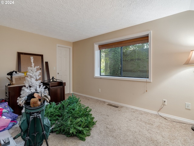 miscellaneous room featuring carpet and a textured ceiling