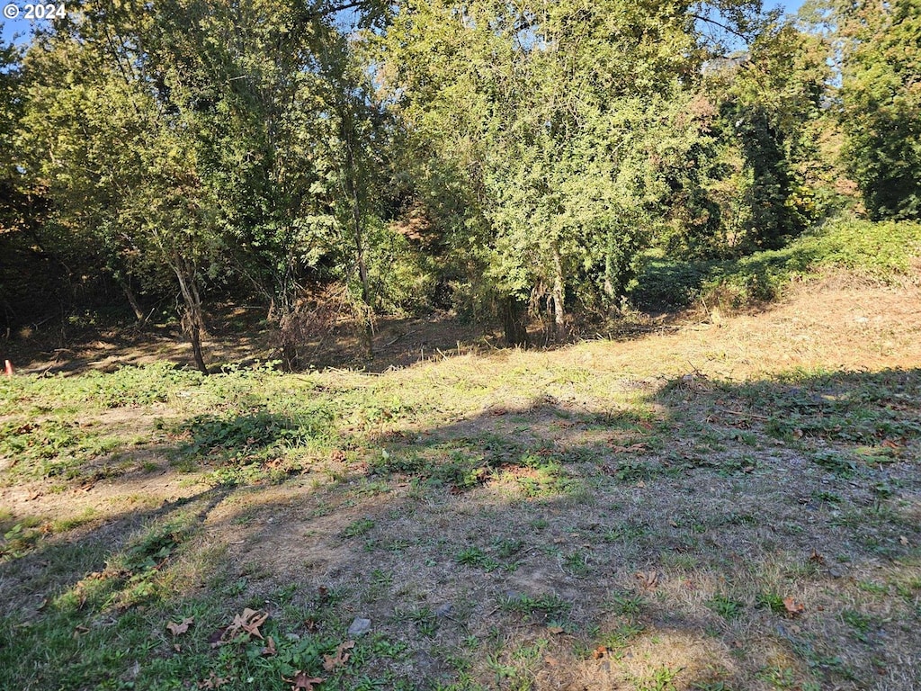 9670 Parcel, Saint Helens, OR 97051