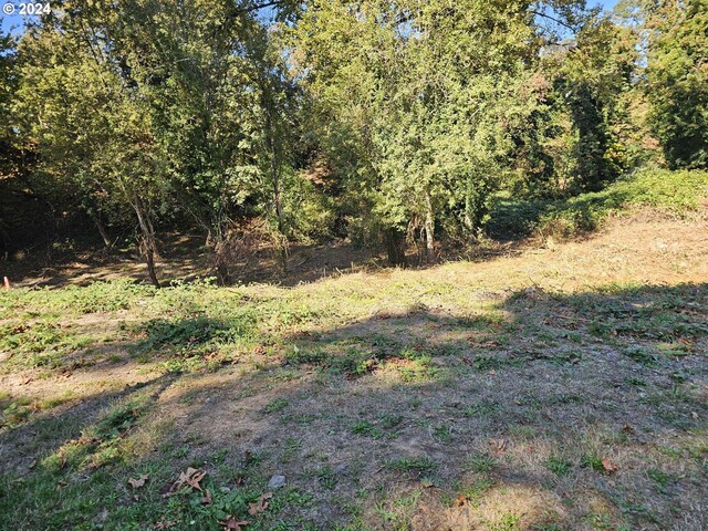 9670 Parcel, Saint Helens, OR 97051