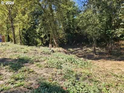 9670 Parcel, Saint Helens, OR 97051