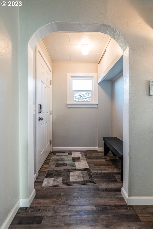 hall featuring dark wood-type flooring