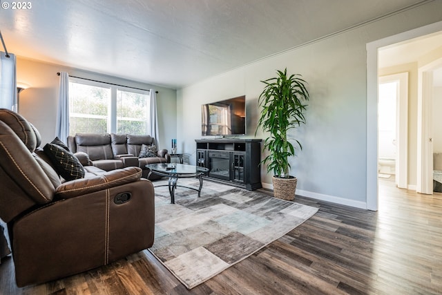 living room with crown molding, a fireplace, and hardwood / wood-style flooring