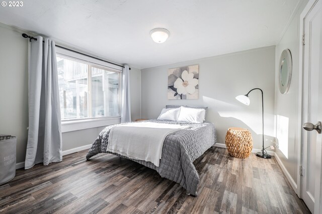 bedroom featuring dark wood-type flooring