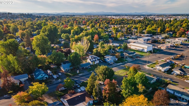 aerial view