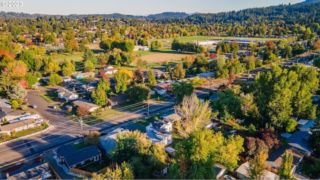 bird's eye view