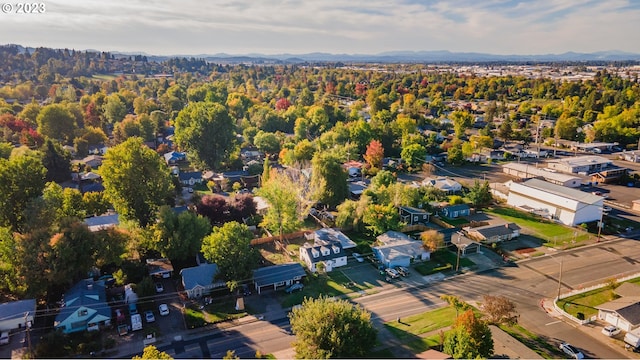 drone / aerial view