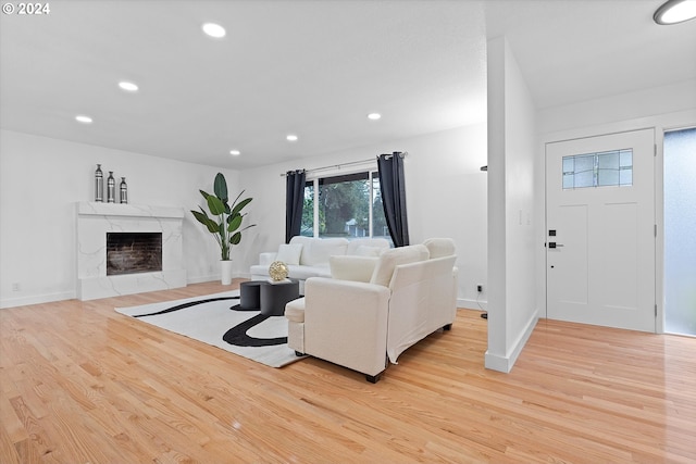 living room featuring a fireplace and light wood-type flooring