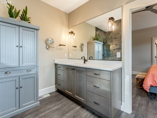 bathroom with hardwood / wood-style floors and vanity