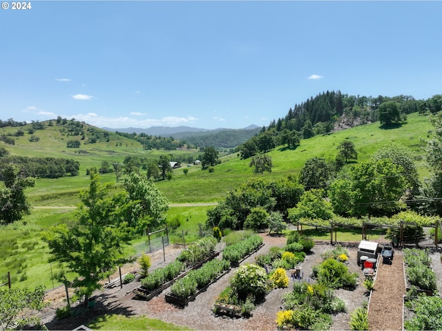 1262 Kester Rd, Roseburg, OR 97470 - overview of rural landscape with a mountainous background