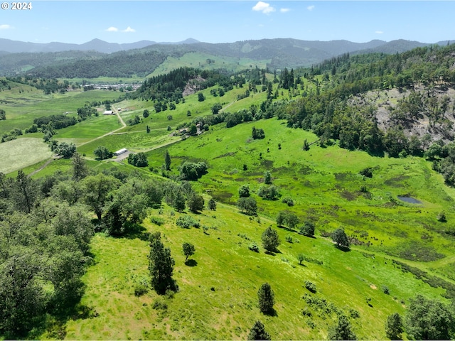 1262 Kester Rd, Roseburg, OR 97470 - bird's eye view of mountains