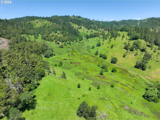 1262 Kester Rd, Roseburg, OR 97470 - aerial view of a forest
