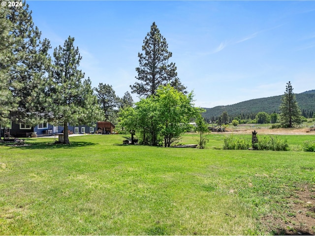 view of yard featuring a mountain view and a rural view