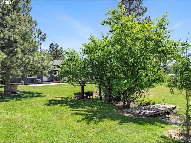 view of yard with a patio area