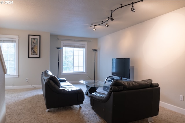 living room featuring light carpet