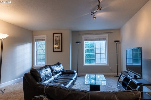 living room with rail lighting, light colored carpet, and a healthy amount of sunlight